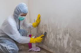 Biohazard Mold Removal in Rosenhayn, NJ